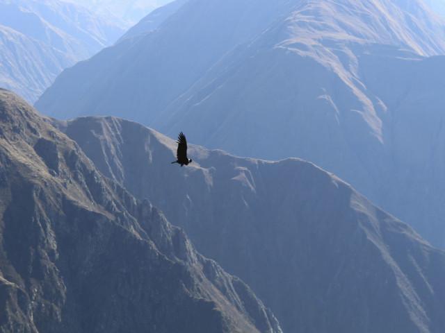 Condor Canyon