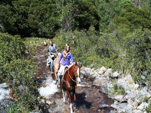 Horseback Riding Tour (2 Hours)